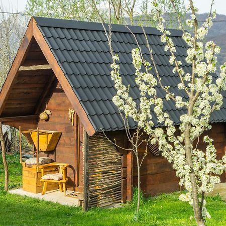 Вілла Djurdjevina Family Farm Колашин Екстер'єр фото