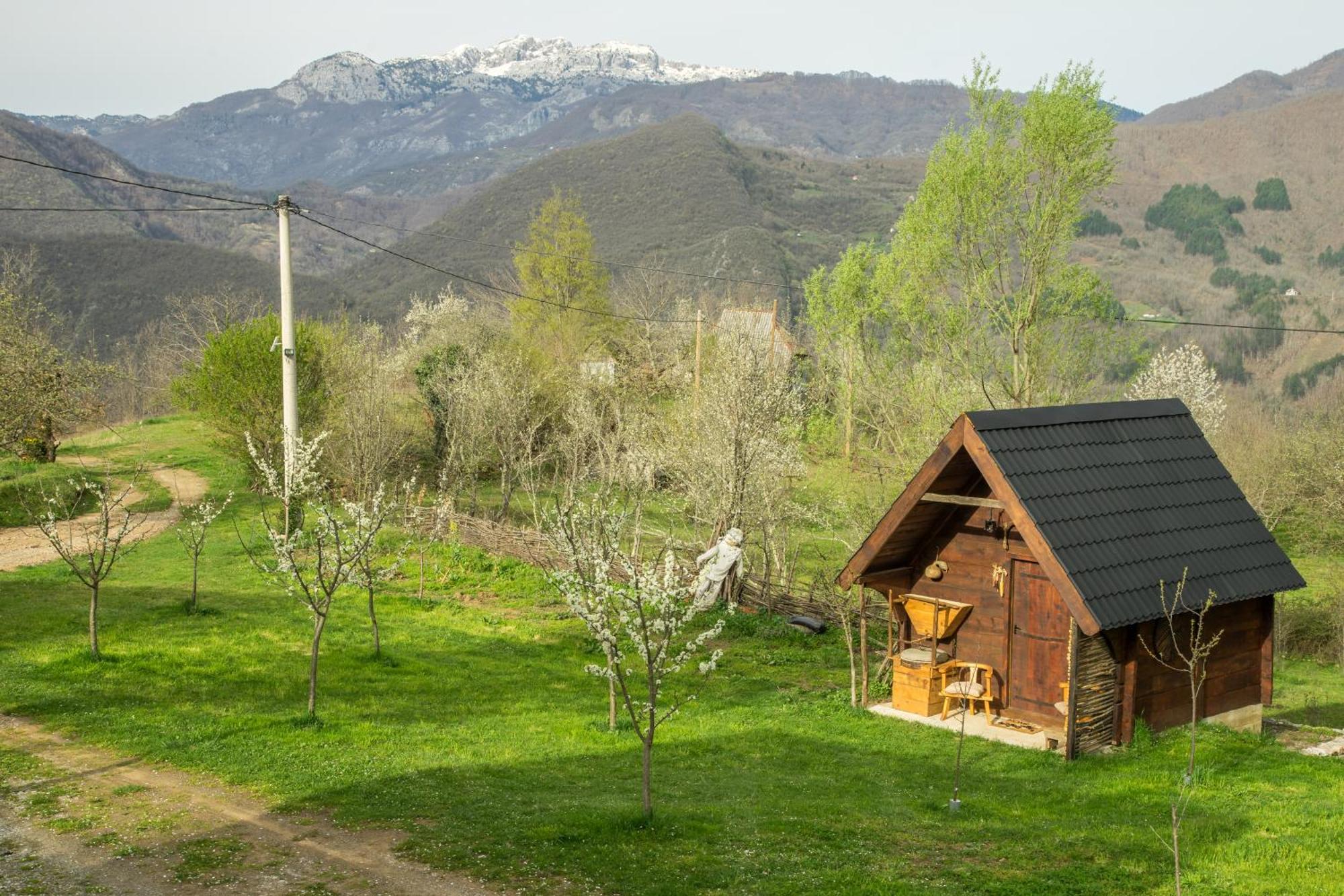Вілла Djurdjevina Family Farm Колашин Екстер'єр фото