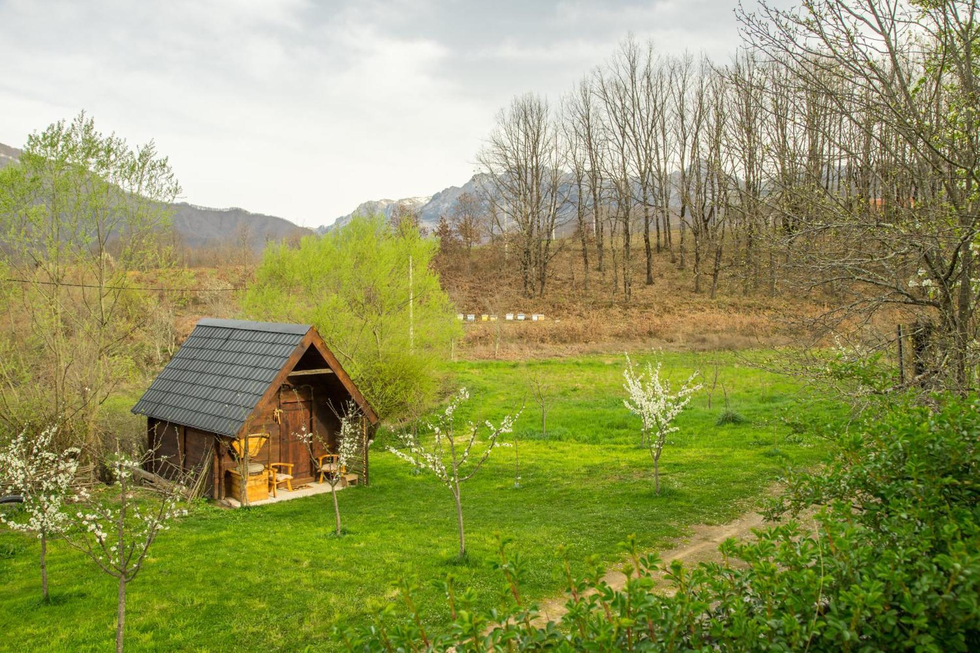 Вілла Djurdjevina Family Farm Колашин Номер фото