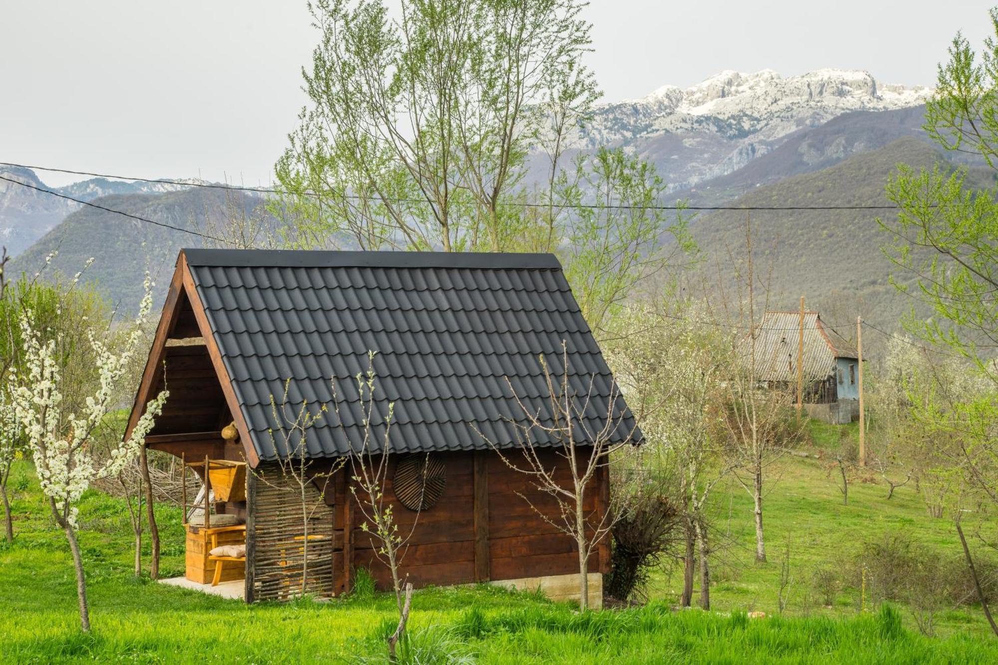 Вілла Djurdjevina Family Farm Колашин Номер фото
