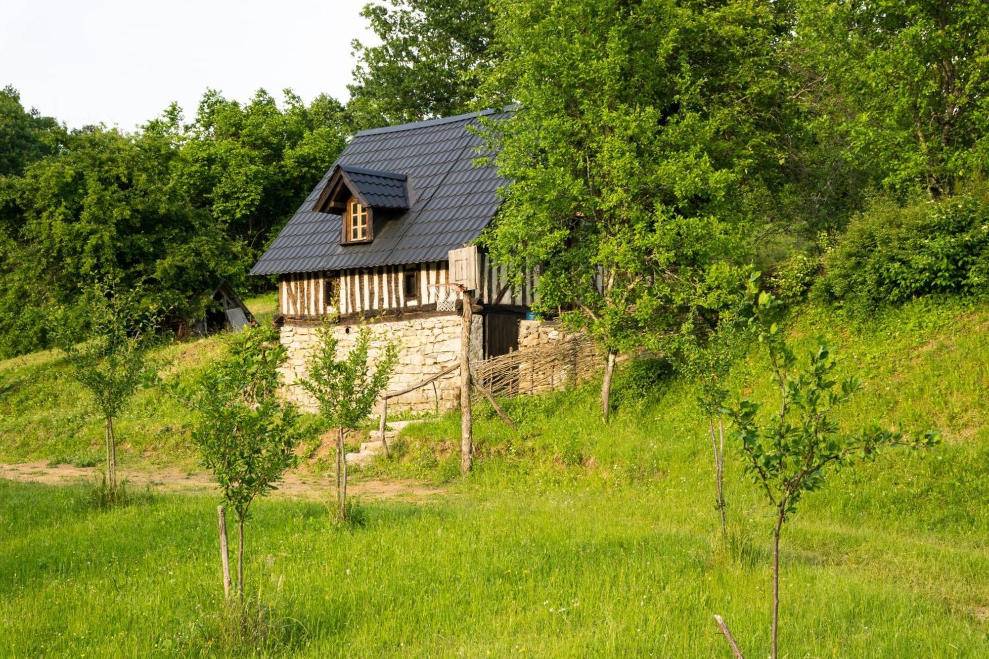 Вілла Djurdjevina Family Farm Колашин Номер фото