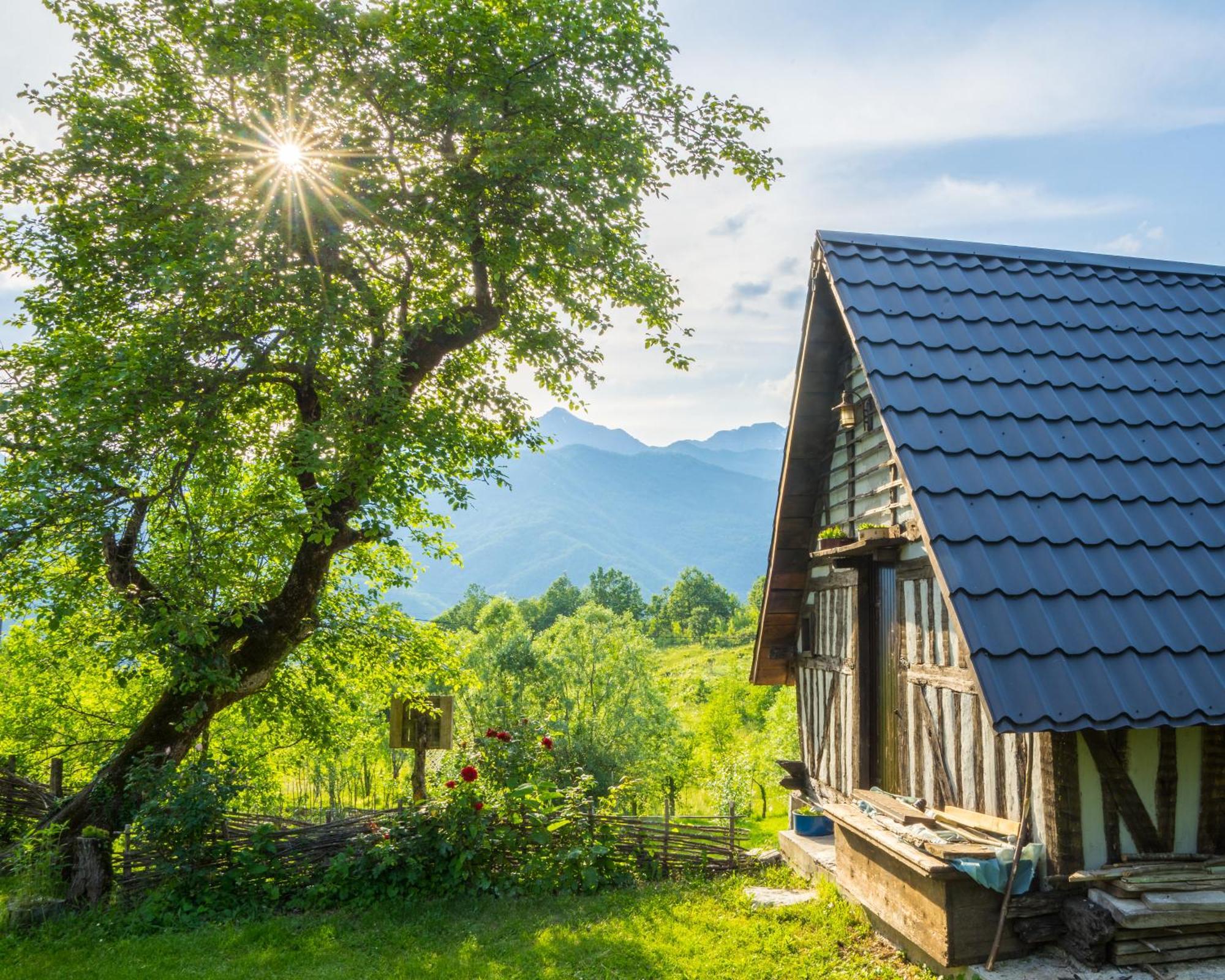 Вілла Djurdjevina Family Farm Колашин Номер фото